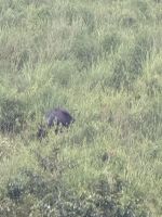 Periyar Nationalpark