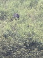 Periyar Nationalpark