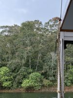 Periyar Nationalpark