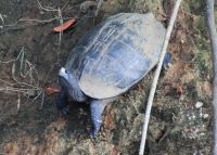 Periyar Nationalpark