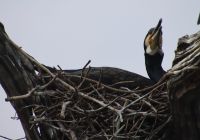 Periyar Nationalpark