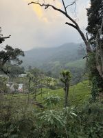 Fahrt von Ooty in die Berge