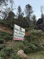 Fahrt von Ooty in die Berge