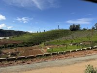 Fahrt mit dem Toy Train