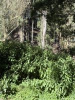 Fahrt mit dem Toy Train