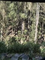 Fahrt mit dem Toy Train