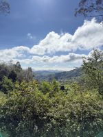 Fahrt mit dem Toy Train