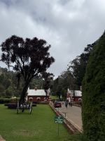 Botanischer Garten in Ooty