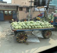 Transporter in Indien &ndash; &copy; Sabine Reckord (Eberhardt TRAVEL)