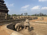 Nandi - Shoretempel, Mahabalipuram &ndash; &copy; Sabine Reckord (Eberhardt TRAVEL)