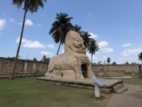 Simhakni, Löwe &ndash; &copy; Sabine Reckord (Eberhardt TRAVEL)