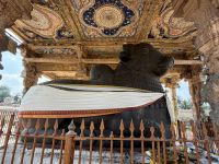 Nandi im Brihadisvara Tempel Thanjavur  &ndash; &copy; Sabine Reckord (Eberhardt TRAVEL)