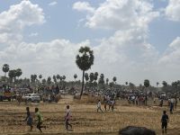 Jallikattu, Madurai &ndash; &copy; Sabine Reckord (Eberhardt TRAVEL)