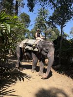 Elefant Junction, Kumily &ndash; &copy; Sabine Reckord (Eberhardt TRAVEL)