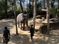 Elefant Junction, Kumily &ndash; &copy; Sabine Reckord (Eberhardt TRAVEL)