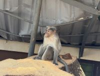 Periyar Wildlife Sanctuary, Cardamom Hills &ndash; &copy; Sabine Reckord (Eberhardt TRAVEL)