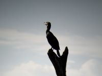 &copy; Sabine Reckord (Eberhardt TRAVEL)