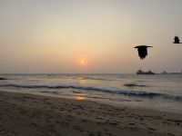 Mahatma Gandhi Beach, Fort Kochi &ndash; &copy; Sabine Reckord (Eberhardt TRAVEL)