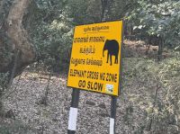 auf dem Weg nach Ooty &ndash; &copy; Sabine Reckord (Eberhardt TRAVEL)