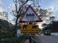 in den Nilgiri-Bergen &ndash; &copy; Sabine Reckord (Eberhardt TRAVEL)