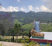 in den Nilgiri-Bergen &ndash; &copy; Sabine Reckord (Eberhardt TRAVEL)