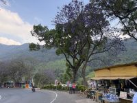 in den Nilgiri-Bergen &ndash; &copy; Sabine Reckord (Eberhardt TRAVEL)