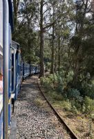 Ooty nach Coonoor &ndash; &copy; Sabine Reckord (Eberhardt TRAVEL)
