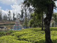 Nilgiri Berge &ndash; &copy; Sabine Reckord (Eberhardt TRAVEL)