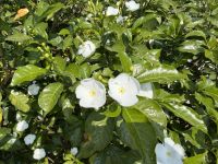 &copy; Sabine Reckord (Eberhardt TRAVEL)