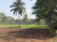 unterwegs in Mysuru &ndash; &copy; Sabine Reckord (Eberhardt TRAVEL)