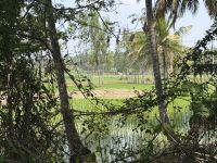 unterwegs in Mysuru &ndash; &copy; Sabine Reckord (Eberhardt TRAVEL)