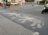 Elefanten (Zebra) -Streifen Mysuru &ndash; &copy; Sabine Reckord (Eberhardt TRAVEL)