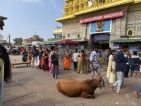 Chamundeshwari Tempel, Mysuru &ndash; &copy; Sabine Reckord (Eberhardt TRAVEL)