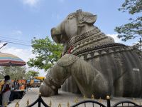 Nandi auf dem Chamundi Hill &ndash; &copy; Sabine Reckord (Eberhardt TRAVEL)