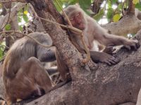Taj Mahal-Komplex, Agra &ndash; &copy; Andrey Kulikov (Eberhardt TRAVEL)