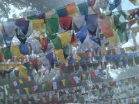 Gebetsfahnen am Tiger Hill &ndash; &copy; Andrey Kulikov (Eberhardt TRAVEL)