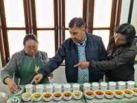 Besichtigung des Tee Museums in Darjeeling mit Teeverkostung &ndash; &copy; Andrey Kulikov (Eberhardt TRAVEL)