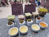 Teeverkostung in Darjeeling &ndash; &copy; Andrey Kulikov (Eberhardt TRAVEL)