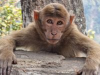 Fotostopp am View-Point Lovers Meet &ndash; &copy; Andrey Kulikov (Eberhardt TRAVEL)