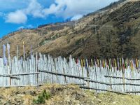 auf dem Weg von Phuentsholing nach Thimphu &ndash; &copy; Andrey Kulikov (Eberhardt TRAVEL)