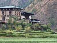 Reisfelde in Sopsokha &ndash; &copy; Andrey Kulikov (Eberhardt TRAVEL)