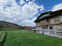 Reisfelde in Sopsokha &ndash; &copy; Andrey Kulikov (Eberhardt TRAVEL)