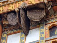 Bienenstöcke (Waben) auf dem Dach des Punakha Dzong &ndash; &copy; Andrey Kulikov (Eberhardt TRAVEL)