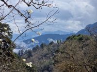 Auf dem Weg von Punakha nach Paro, am Dochula-Pass &ndash; &copy; Andrey Kulikov (Eberhardt TRAVEL)