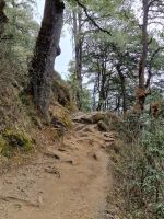 Wanderweg zum Tigernest &ndash; &copy; Andrey Kulikov (Eberhardt TRAVEL)