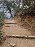 Wanderweg zum Tigernest &ndash; &copy; Andrey Kulikov (Eberhardt TRAVEL)