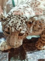 Besichtigung des National Museums in Paro &ndash; &copy; Andrey Kulikov (Eberhardt TRAVEL)