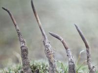 Flughafen in Paro &ndash; &copy; Andrey Kulikov (Eberhardt TRAVEL)