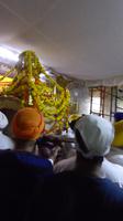 322. Amritsar - Goldener Tempel - heiliges Buch
