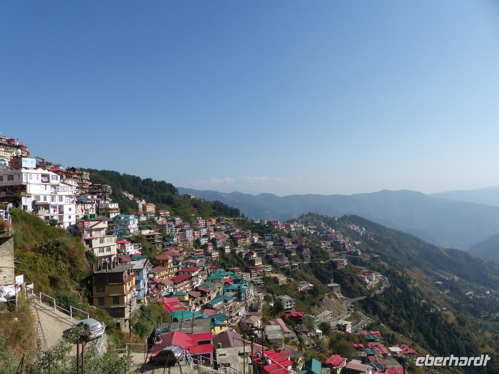446. Shimla